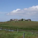 Küstenschutz durch die Halligen