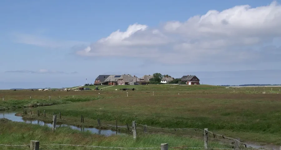 Küstenschutz durch die Halligen